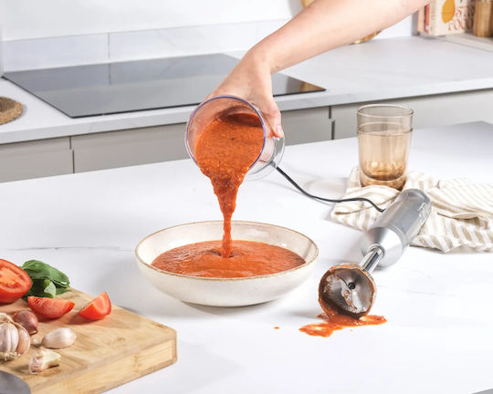 Salter Handmixer mit Inox-Stab 1000W Grau