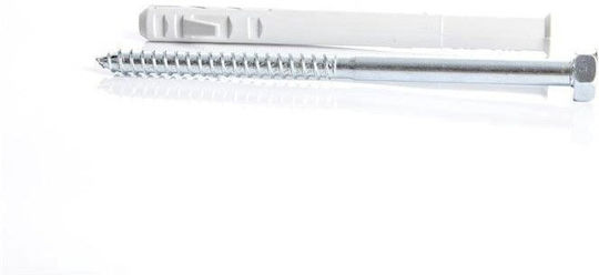 Schraubanker Kunststoff 10x160mm 2 Stück