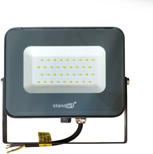 Standart Wasserdichter LED Flutlichter 30W Natürliches Weiß 4000K IP65