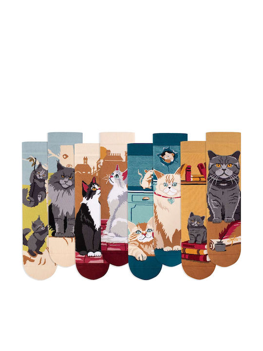 Pirin Hill Șosete Multicolore 4Pack Pirin Hill Șosete Multicolore 4Pack