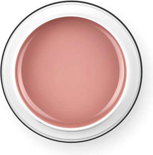 Palu Pro Hard Shape Builder Gel Für Falsche Nägel Neutral 45g