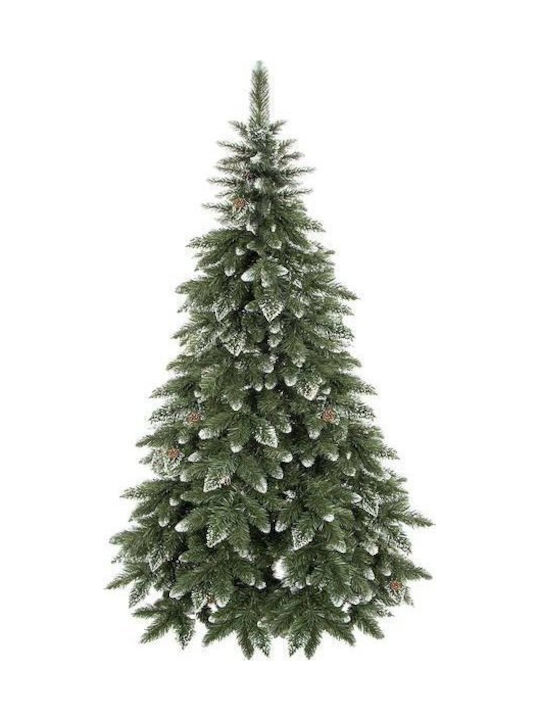 Weihnachtsbaum mit Kiefernkernen 180cm