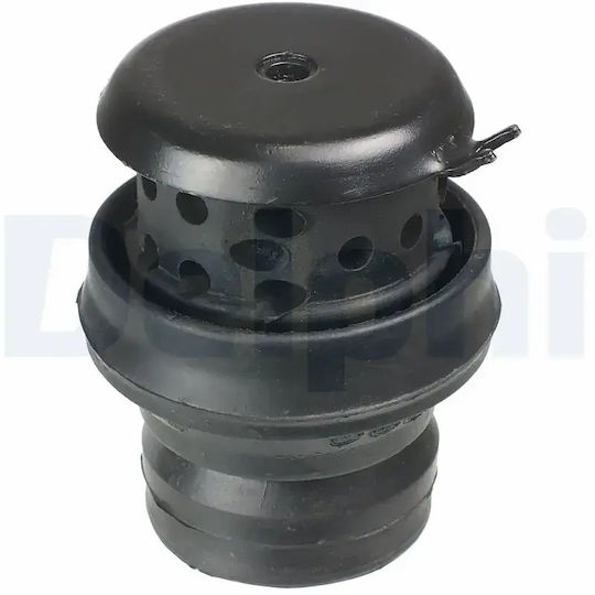 Suport motor Delphi TEM058
