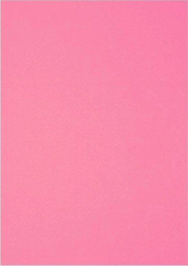 Polsirhurt Διακοσμητικά Τσόχινα Στοιχεία Ροζ 20x30cm 10τμχ