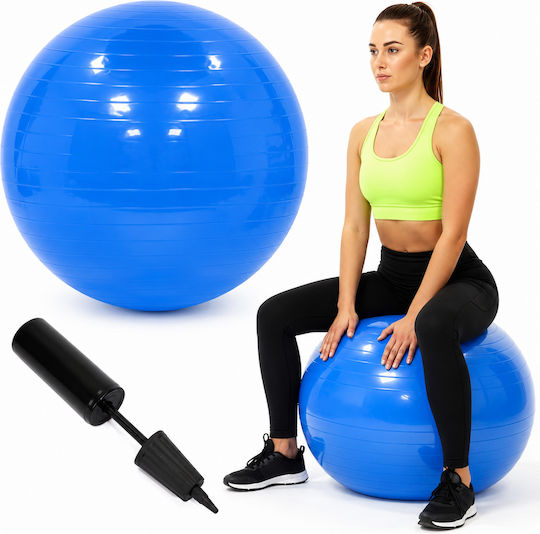 Toning Exercise Ball in Blue Colour