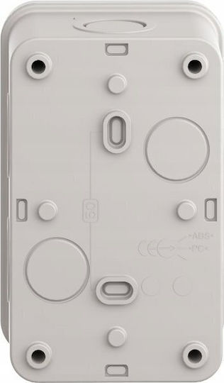 Schneider Electric Elettrocanali Anschlussdose Für Außenmontage IP54 In Grau