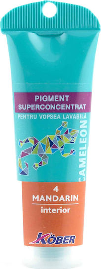 Superconcentrated Mandarin Pigment Washable Paints 30ml
