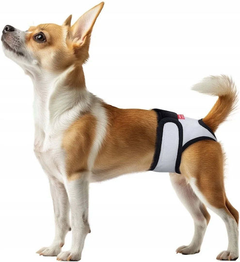 WauDog Dog Panties for Incontinence 1pc