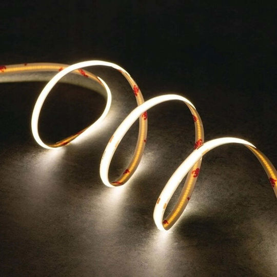 Kanlux Waterproof 24V Natural White Light 24m COB Type LED Strip
