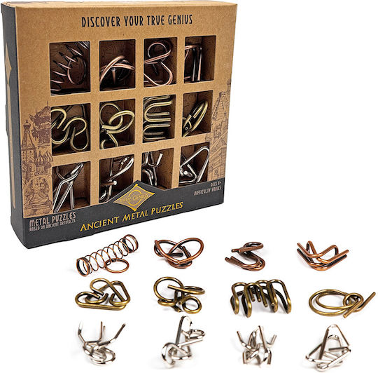 Project Genius Metallisches Rätsel