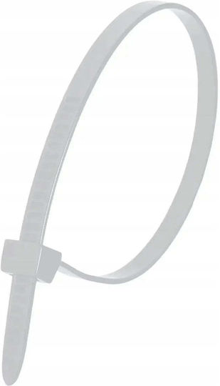 Dedra Plastische Kabelbinder 300mmx4.8mm in Weiß Farbe 50Stück