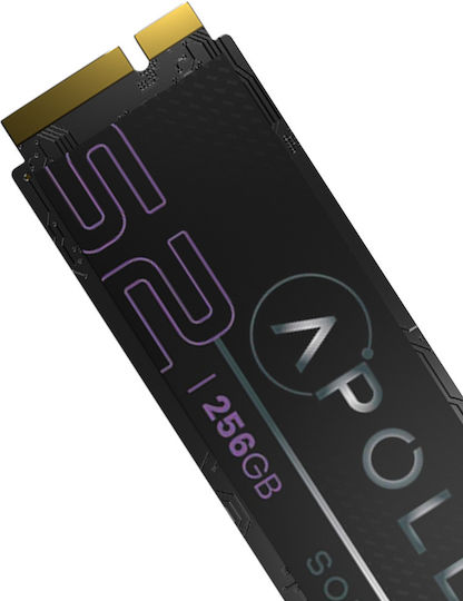 Apollo S2 SSD 256GB Mit PCI Express 3.0 Kommunikationsprotokoll