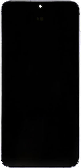 OLED Ersatzbildschirmrahmen Samsung Galaxy S24 Plus 5G US & Internationale Version Service Pack Kobaltblau Violet
