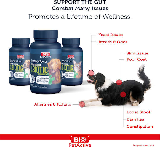 Bio Petactive Probiotika Hund in Tabletten 2 Tabs für Magen-Darm-Erkrankungen