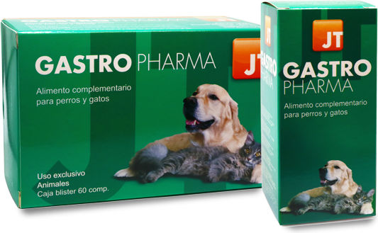 Animalear Multivitamine pentru Câini și Pisici în Tablete 60 tabs pentru Tulburări Gastrointestinale