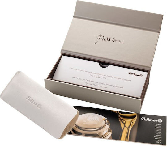 Pelikan Classic M200 Stilou Caligrafie Medium Gri din Otel