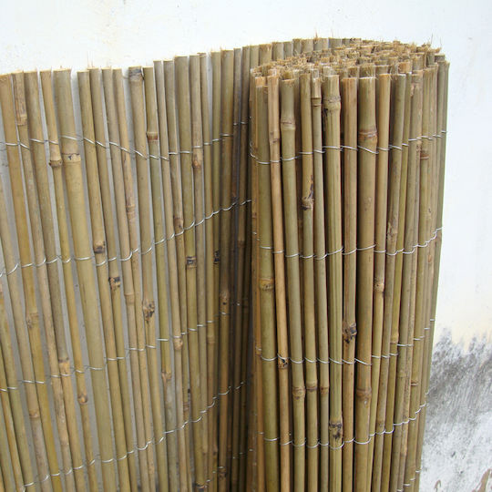 Ecoshadow Gard De Bambus Cu Întregul Reed Din Bambus 1.5x3m