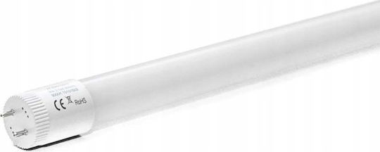 Eco Light LED крушка 18W Тип Флуоресцентни 120εκ. за фасунга G13 и форма T8 Неутрално бяло 2340лм