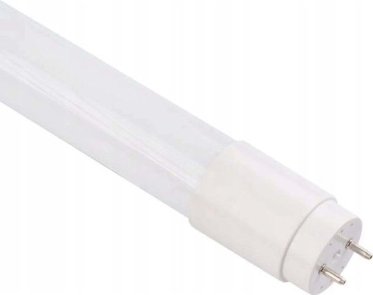 Eco Light LED крушка 18W Тип Флуоресцентни 120εκ. за фасунга G13 и форма T8 Неутрално бяло 2340лм
