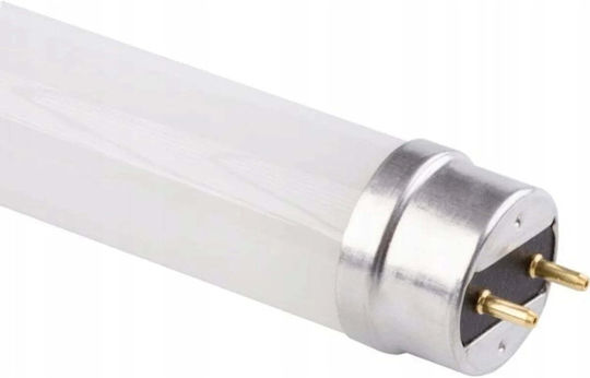 Eco Light LED крушка 9W Тип Флуоресцентни 60εκ. за фасунга G13 и форма T8 Неутрално бяло 900лм