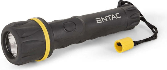 Entac Taschenlampe LED IP44 mit maximaler Helligkeit 15lm EFL-2AA-PL Schwarz