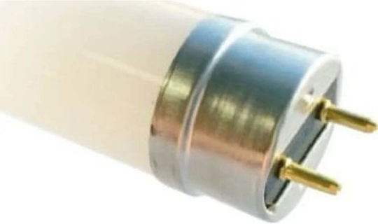 Eco Light LED Bulb 9W Fluorescent Type 60εκ. for Socket G13 and Shape T8 Cool White 900lm