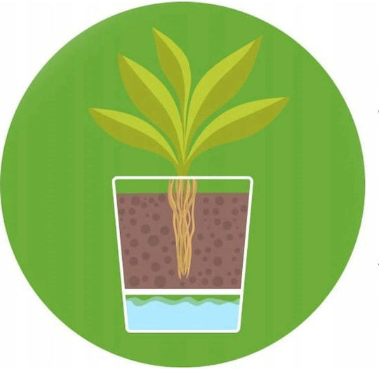 Ibergarden Self-watering Pot Plastic Charcoal