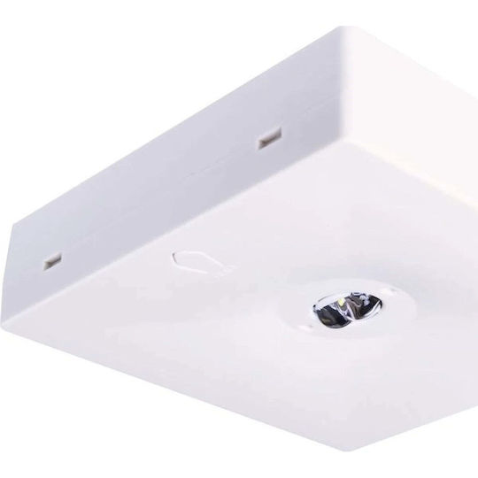 Intelight LED Iluminat de Siguranță de Ieșire cu Sursă de Alimentare pe Baterie
