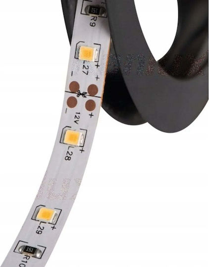 Kanlux Waterproof 12V LED Strip Natural White Light 5m