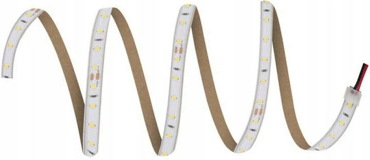 Ledvance Rezistent la apă Bandă LED V-2000 24V Alb Natural Lumină 5m Tip SMD2835