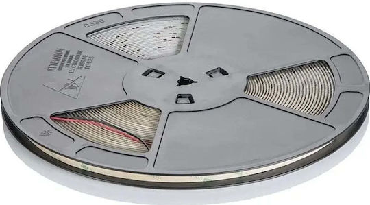 Eco Light LED Лента 12V Студено Бяла Светлина 50м Тип SMD2835