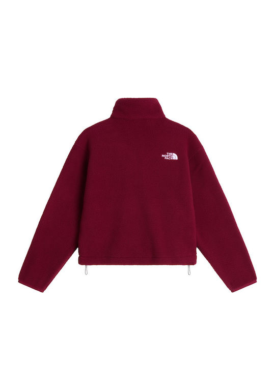 The North Face The North Face