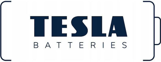 Tesla Batteries Black+ Baterii Alcaline AA 1.5V 4buc