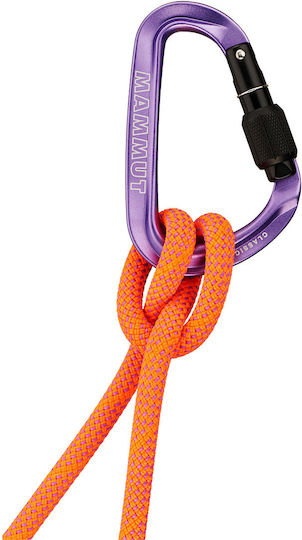Mammut Klassischer Hms Schraubkarabiner 109 × 69,5 Mm