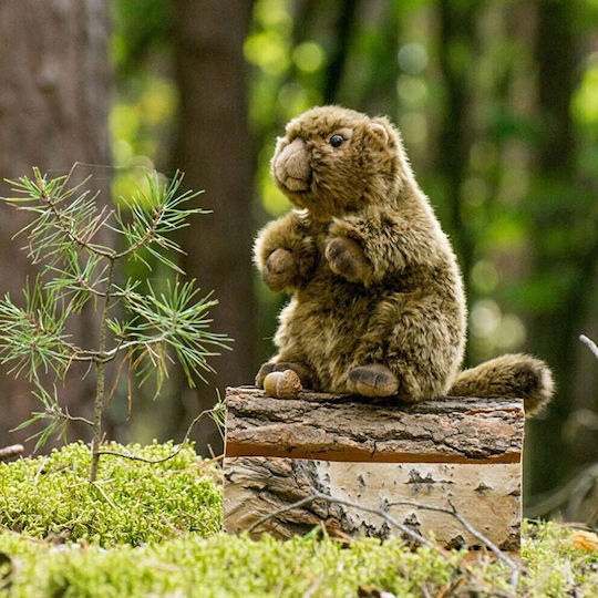Teddy Плюшена Играчка 20 см