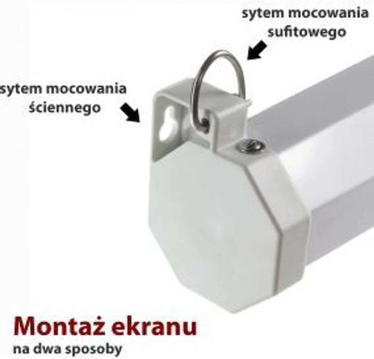Art electric cu logo-ul imaginii 4:3 203cmx152cm / 100"