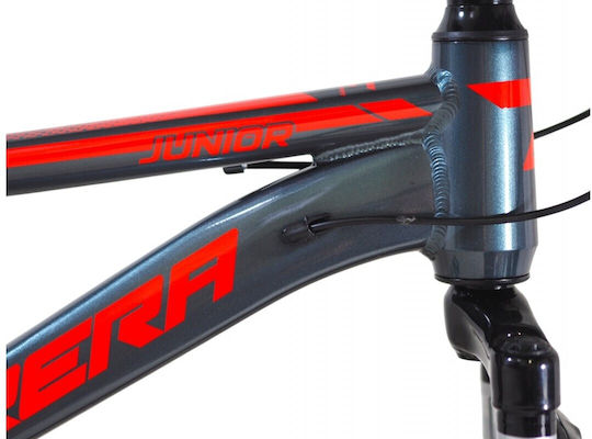 24 Παιδικό Mountainbike mit Aluminiumrahmen Grau