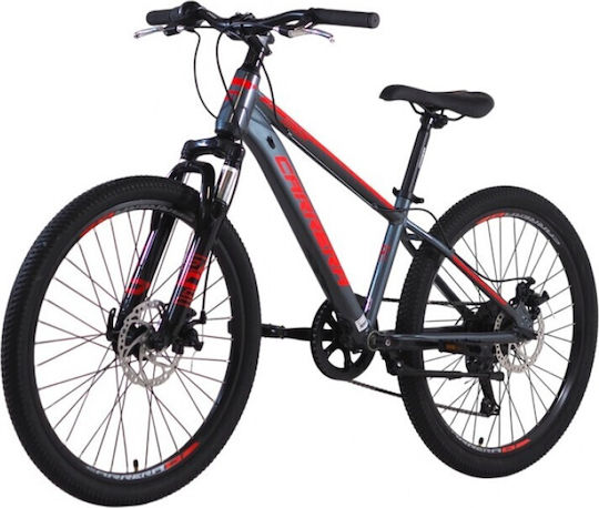 24 Παιδικό Mountainbike mit Aluminiumrahmen Grau