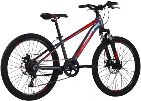 24 Παιδικό Mountainbike mit Aluminiumrahmen Grau