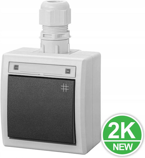 Elektro Plast Waterproof Recessed Double Wall Switch with Frame Aller Retour Grey