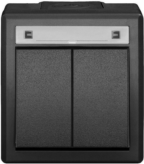 Elektro Plast Waterproof Recessed Double Wall Switch with Grey Frame