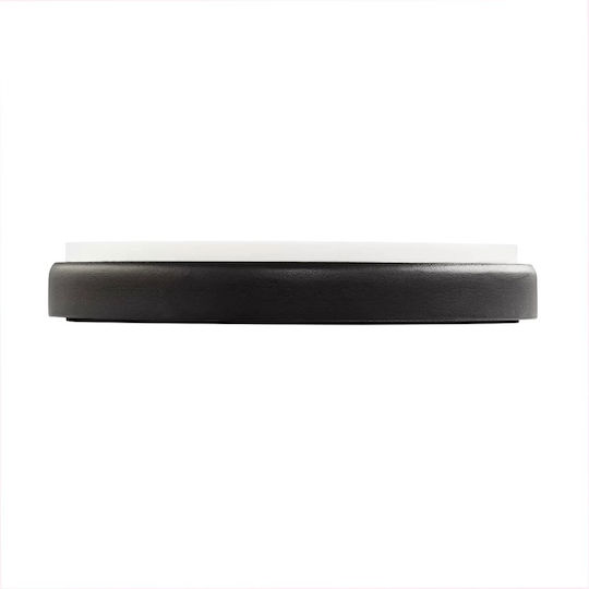 Meinl Practice Pad 6" MPP-6-TL