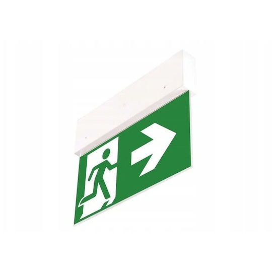 Intelight Exit Emergency Light with Battery Power Source