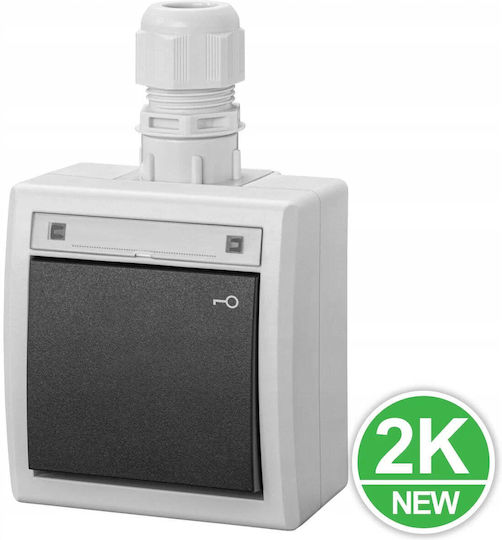 Elektro Plast Waterproof Wall-Mounted Rotary Key Switch with Grey Frame