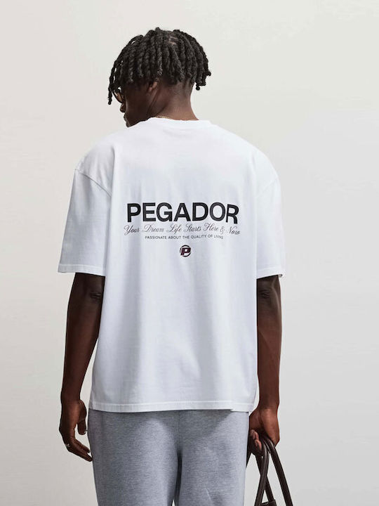 Pegador Pegador