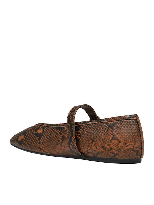 Women's Brown Ballerina Shoes