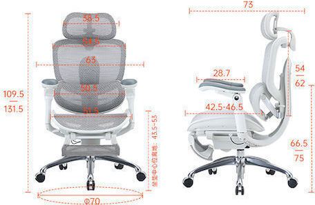 Sihoo Doro C300 Pro V2 Bürostuhl Off-White