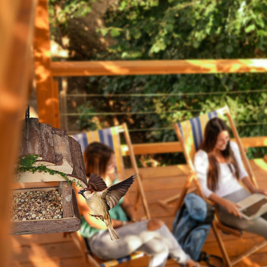 Hrănitoare pentru Păsări Relaxdays din Lemn, Culoarea Mușchi, 19 X 22 X 16.5 Cm, Maro, Decorațiune de Grădină Suspendată
