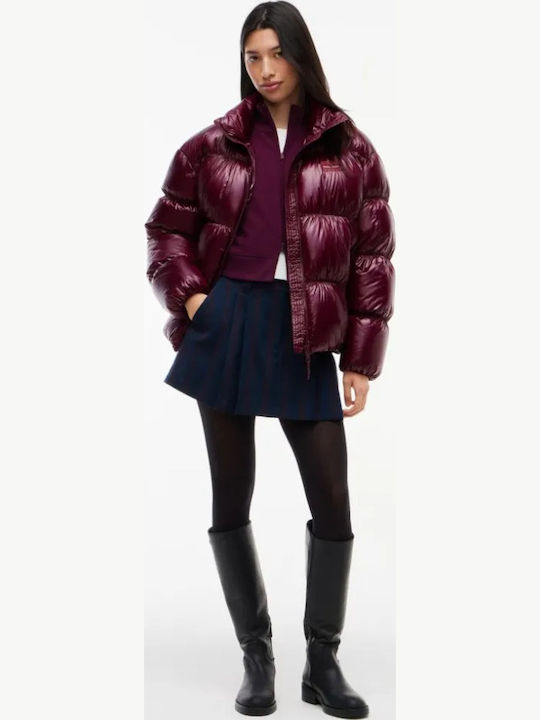 Tommy Hilfiger Short Women's Winter Puffer Jacket in Burgundy