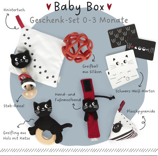 Sensory Perception & Discovery for Newborns